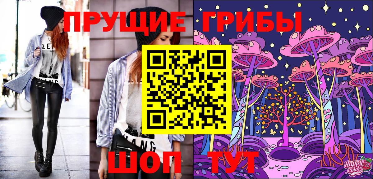 Псилоцибиновые грибы ЛСД  Вход с VPN  Псилоцибиновые грибы Magic Shrooms  продажа наркотиков  Кингисепп 